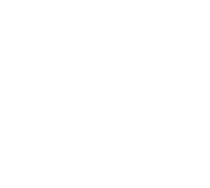 IZI SEEDS